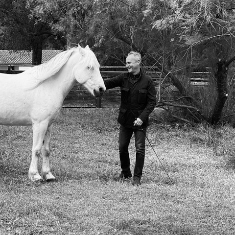 Tertia-camargue